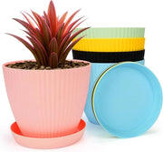 Pannelli di Cottura Colorati 5 Pack - Fessure di Drenaggio - Piatti per Cottura - 14,5cm/5,7 Pollici - Pannelli per Fiori da Interno - Pannelli per Piante Succulente - Semenzali da Giardino