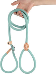 Cinturone per cani da 150 cm, con meccanismo di slittamento, adatto per cuccioli, piccoli, medi e grandi cani. 14mm*150cm, Blu Cielo