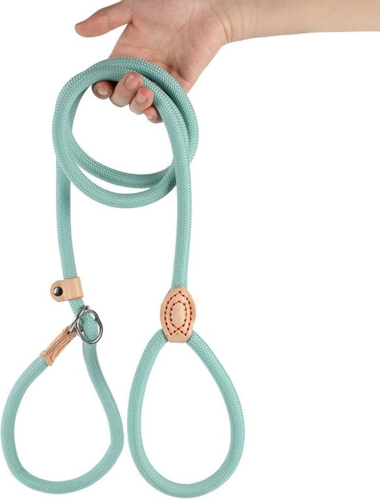 Cinturone per cani da 150 cm, con meccanismo di slittamento, adatto per cuccioli, piccoli, medi e grandi cani. 14mm*150cm, Blu Cielo