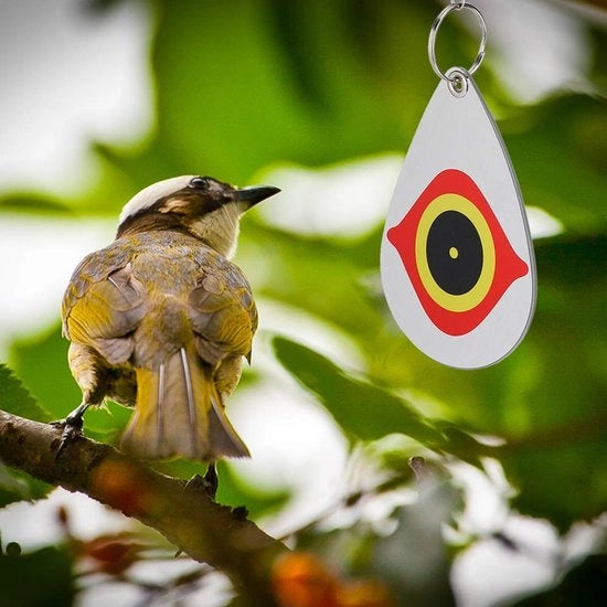 Materiale di Sostegno Vogelafschrikker - Vogelafschrikker in PVC - Materiale Afschrikkend Duraturo - Decorazione Multifunzionale per Frutteto - Protezione Effettiva per Giardino - Adatto per Terrazza e Frutteti