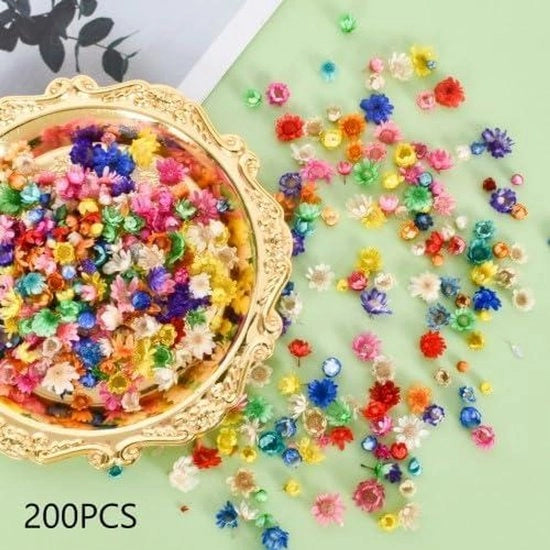 Pacchetto Plus - 200 fiori essiccati per decorazione di cartoline, candele, scrapbooking, raschietto per cera
