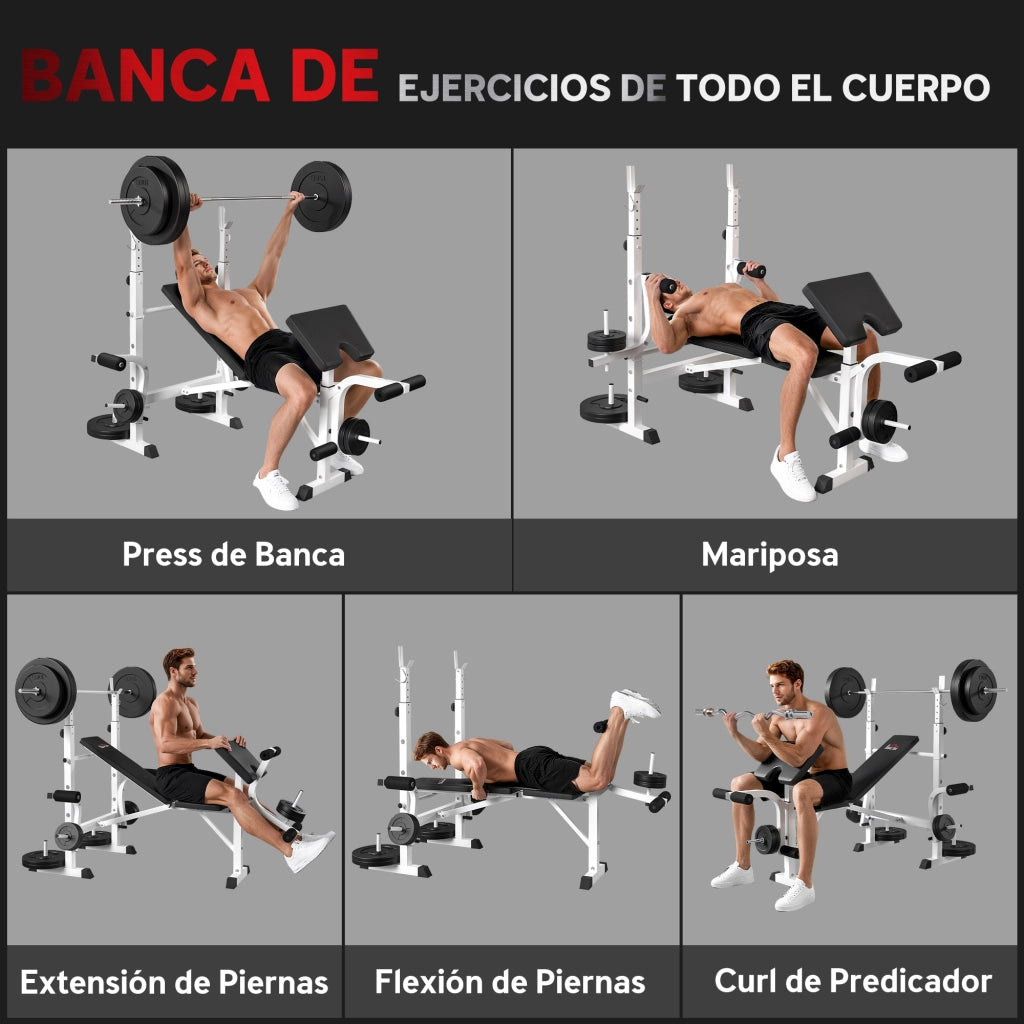 Panca Inclinabile per Palestra con Attrezzi ¨C zephmum ¨C Regolabile