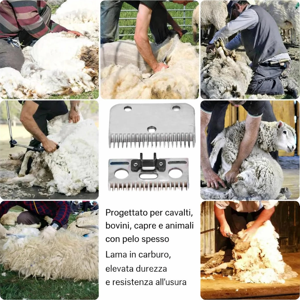 Kit Lame Di Ricambio Per Tosatrice Cavalli a 21 Denti Tosa Cavalli 07865