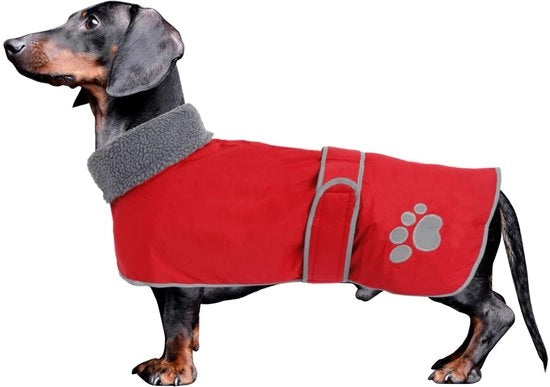 Giubbotto invernale per cani, Gewatteerde Teckel Jas, colore rosso, L