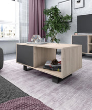 Tavolino con porte 92x50x45cm modello WIND, colore Rovere e grigio antracite RF1009