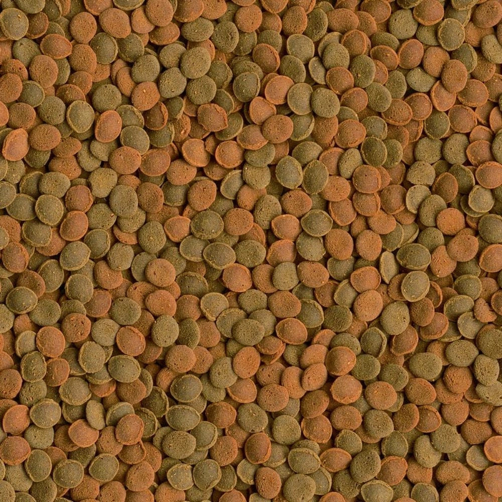 Tetra Wafermix Formato: 1000 ml