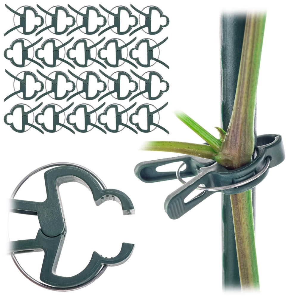 Clip KADAX per pomodori, germogli di fagioli, steli, piante, clip, 20 pezzi