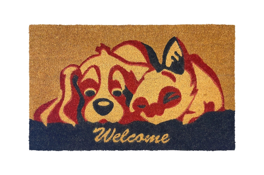 Zerbino Ingresso Casa In Fibra Di Cocco Con Base In Pvc  DoggKitty