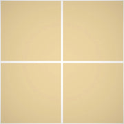 Pittura Murale Acril Silossanico Esterno - Rivestimenti Esterni B638 - Litri 14