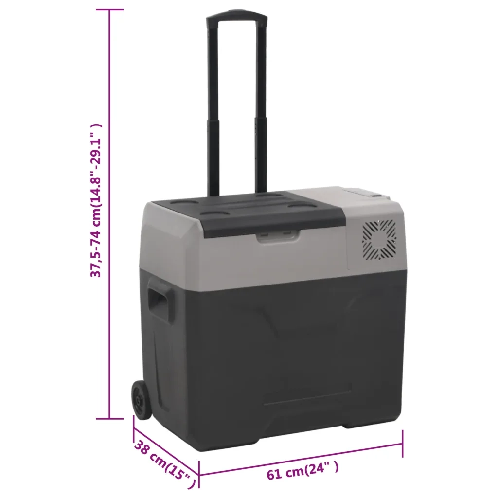 Borsa Frigo con Manico e Ruote Nera e Grigia 30 L Polipropilene
