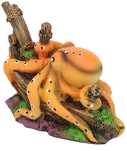 Decorazione per Acquario - Creazione di Rifugi - Colorata e Naturale - Adatta a Acquari di Acqua Dolce e Salata - Ideale per