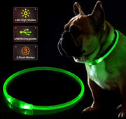 Cani luce - Collare per cani con luce - Lampada per cani - Cani passeggio - Lampada per cani