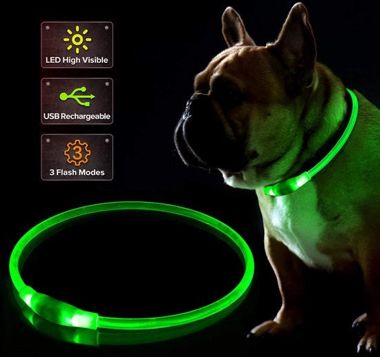 Cani luce - Collare per cani con luce - Lampada per cani - Cani passeggio - Lampada per cani