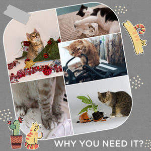 Albero Tiragraffi Ø60x136 cm con Lettino e Pallina Grigio