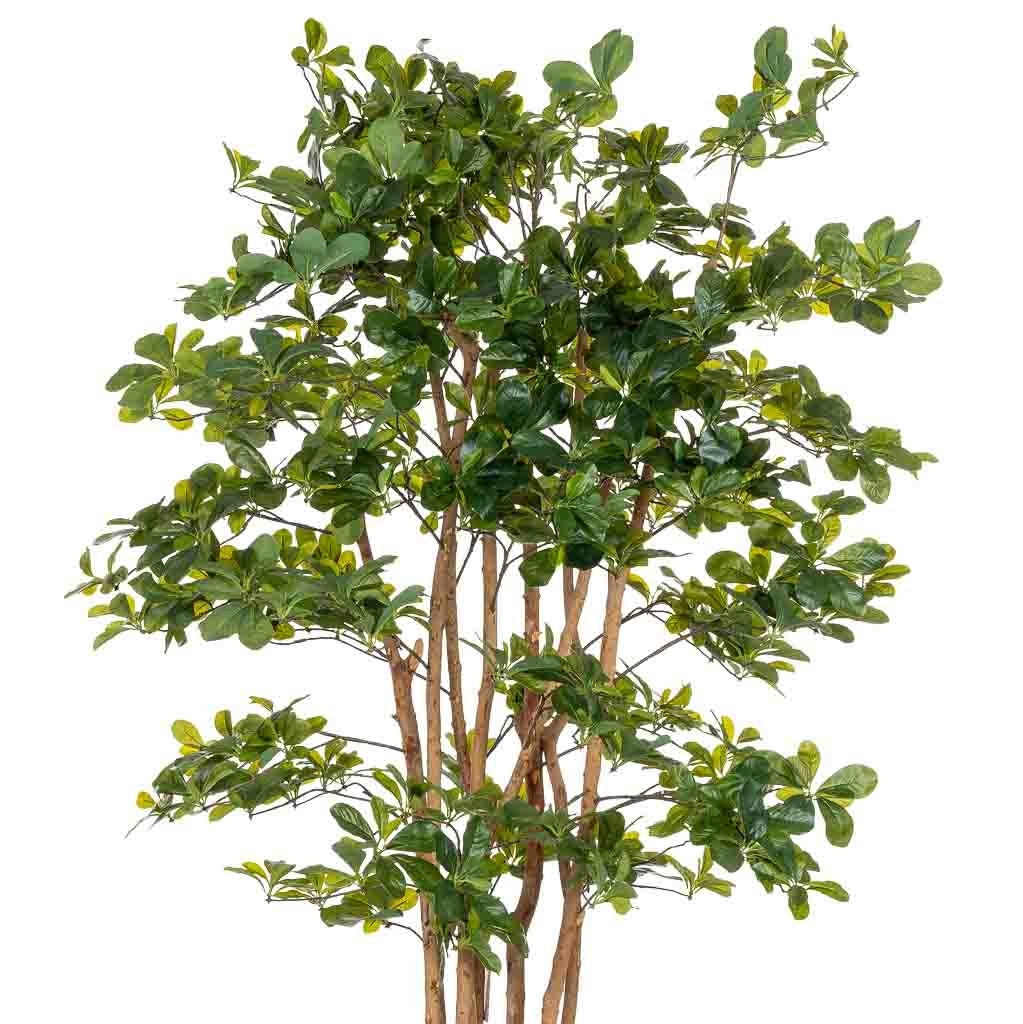 Pianta di baniano artificiale decorativa in vaso 40x30x180h cm