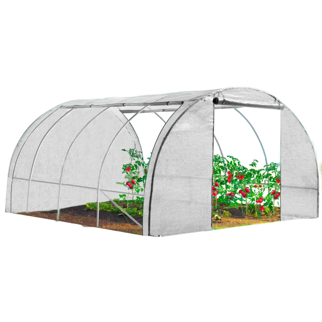 IDMarket - Serra tunnel di giardinario 12m²  bianco 4 stagioni ZEBRA 4x3M
