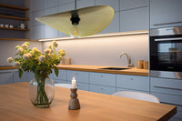 Lampada Da Soffitto APP1470-1CP Black/old Gold