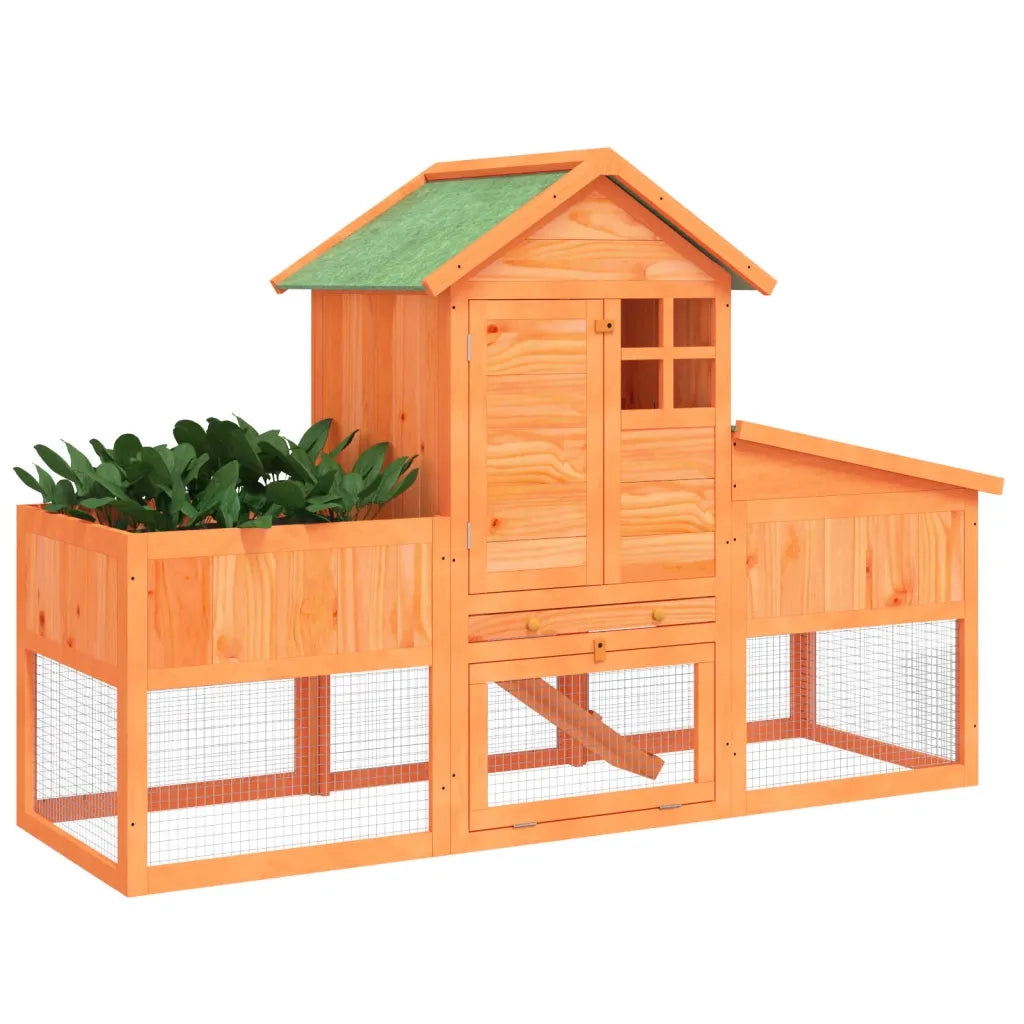 vidaXL Conigliera Marrone 170x63x113 cm in Legno Massello di Pino