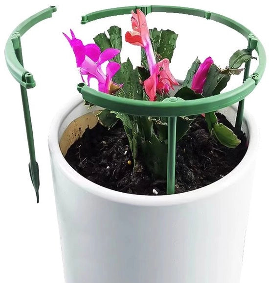 12 supporti di piante – Contenitori in plastica per piante – Piccoli anelli di supporto per piante – 25x25 cm – Adatti per piante da interni e da esterni