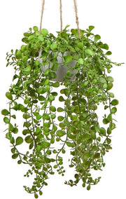 Pendente in vetroresina, pianta finta, 35 cm, con vaso bianco, decorazione per parete, piante da parete per casa, decorazione per bagno, ufficio, stile boho