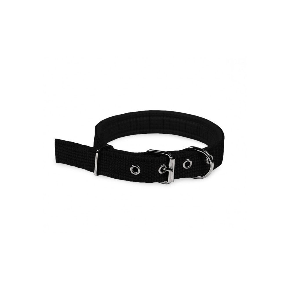 Trade Shop - Collare In Nylon Con Imbottitura Per Cani Piccola Tg. Chiusura Fibbia Regolabile -