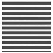 Tenda a Rullo Zebra Nero Larghezza Tessuto 145,9 cm Poliestere