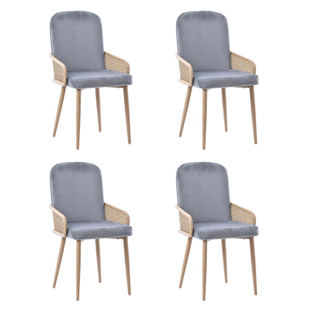 SEDIA da pranzo in velluto grigio con design rattan, gambe in metallo, Set da 4 pezzi