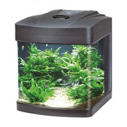 Blu Bios Cubino LED - acquario panoramico 26L cm30x33x36h Colore: Nero
