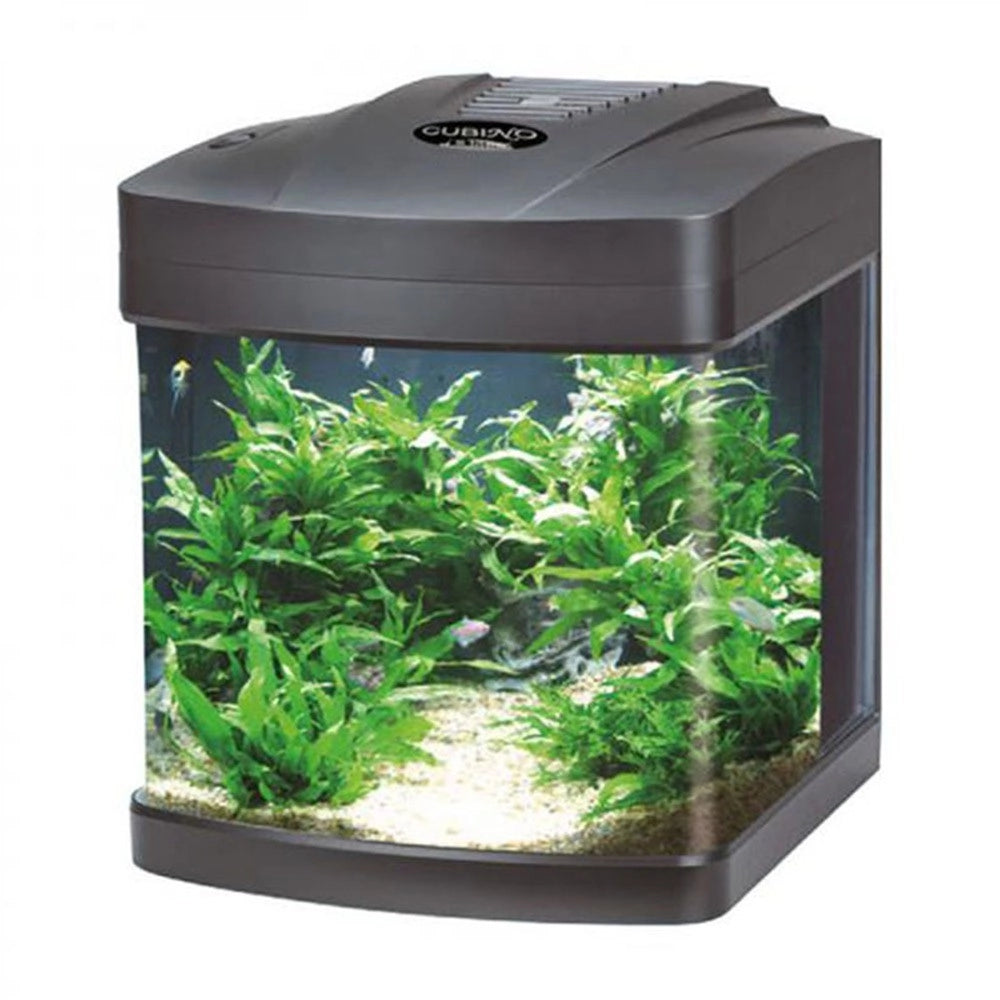 Blu Bios Cubino LED - acquario panoramico 26L cm30x33x36h Colore: Nero