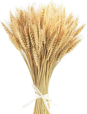 Fiore di grano essiccato Premium - 100 pezzi - Decorazione per camino, cucina, matrimonio - Corona di Natale - Decorazione per tavola religiosa e festiva
