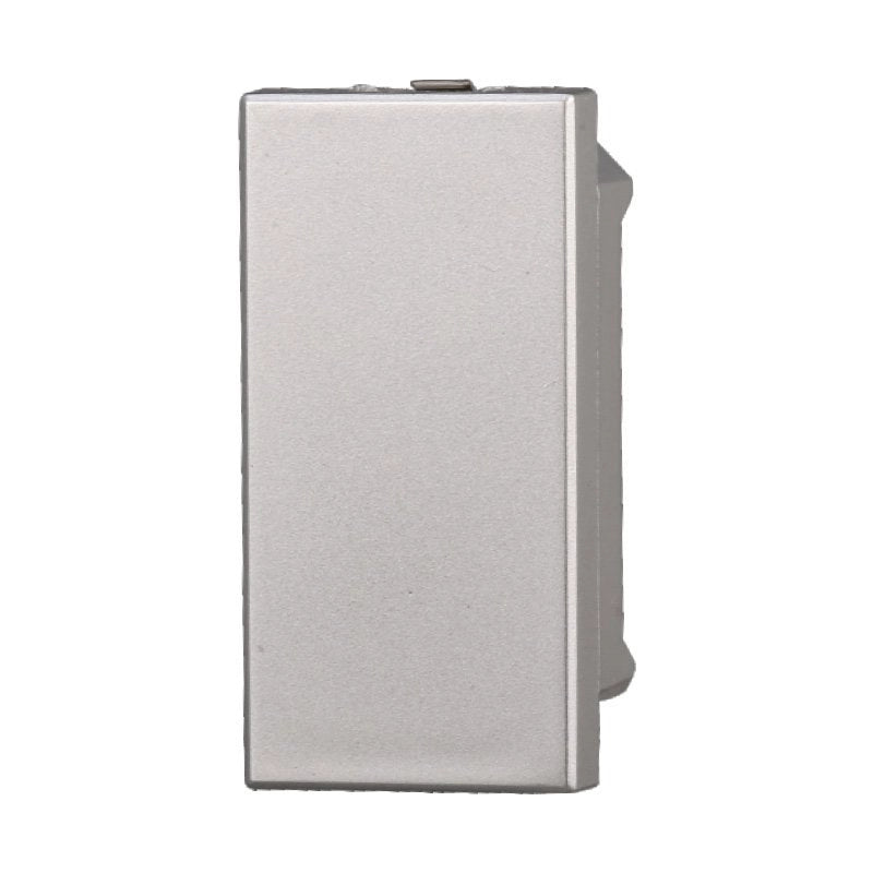 2 Pezzi Copritasti Copriforo Copritasto Falso Polo 1P Grigio Compatibile Con Bticino Axolute