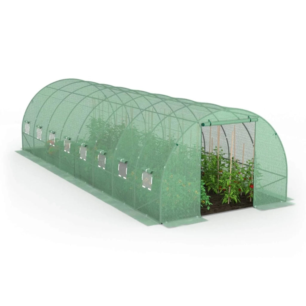 ProBache - Telone di ricambio per serra da giardino a tunnel da 24 m², 8 x 3 x 2 m, anti-UV, con porta e finestre, modello DES ANDES, color
