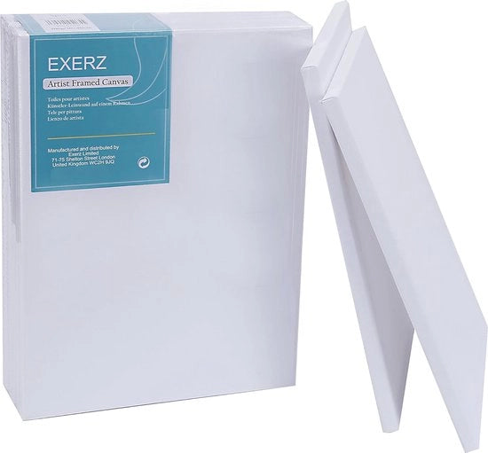 Tessuti per pittura pre-tensili 30x40 cm - 5 pezzi, 100% cotone, acido-free, triplo gessoato