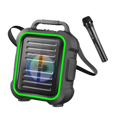 Altoparlante Wireless con Microfono Lostech Potenza 15 W