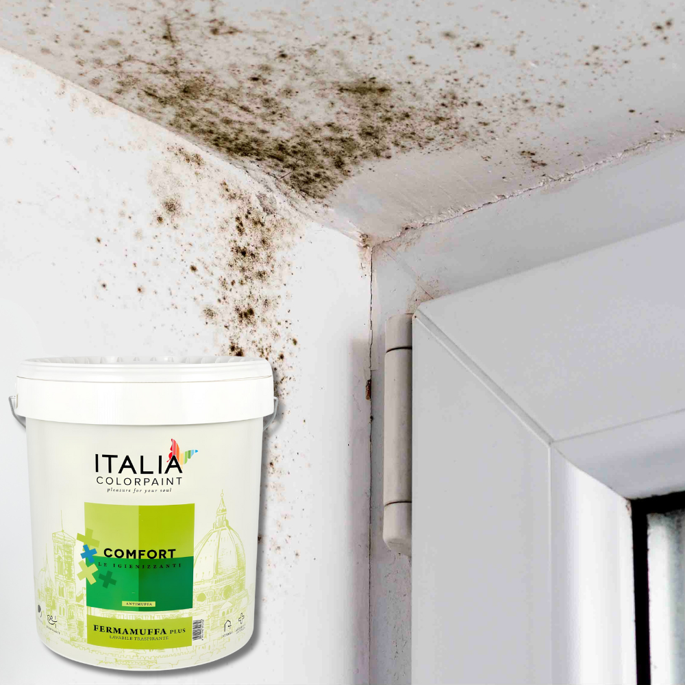 Idropittura lavabile traspirante bianca interni umidità comfort fermamuffa plus *** formato 4 lt, confezione 1