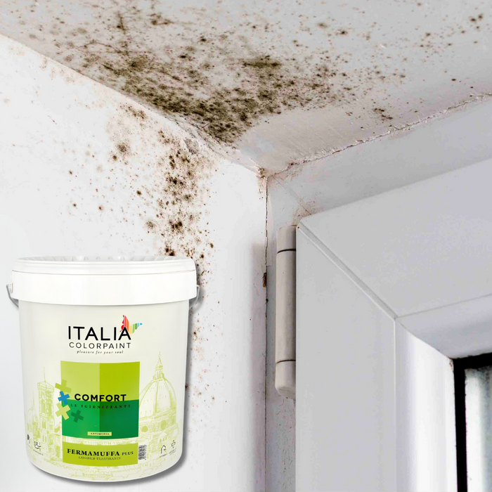 Idropittura lavabile traspirante bianca interni umidità comfort fermamuffa plus *** formato 4 lt, confezione 1