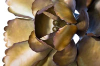 Pannello In Ferro Fiore Goldy -A- Cm Ø 64X5.5