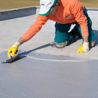 Guaina cementizia flexistar impermeabilizzazione protezione calcestruzzo 20 kg