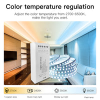 Centralina Led Controller, 6A/Canali, ZigBee 3.0, RGB+CCT, Max 12V e 24V, 15A, 2X100W, TUYA, Smart Life, 100X45X35mm, IP20