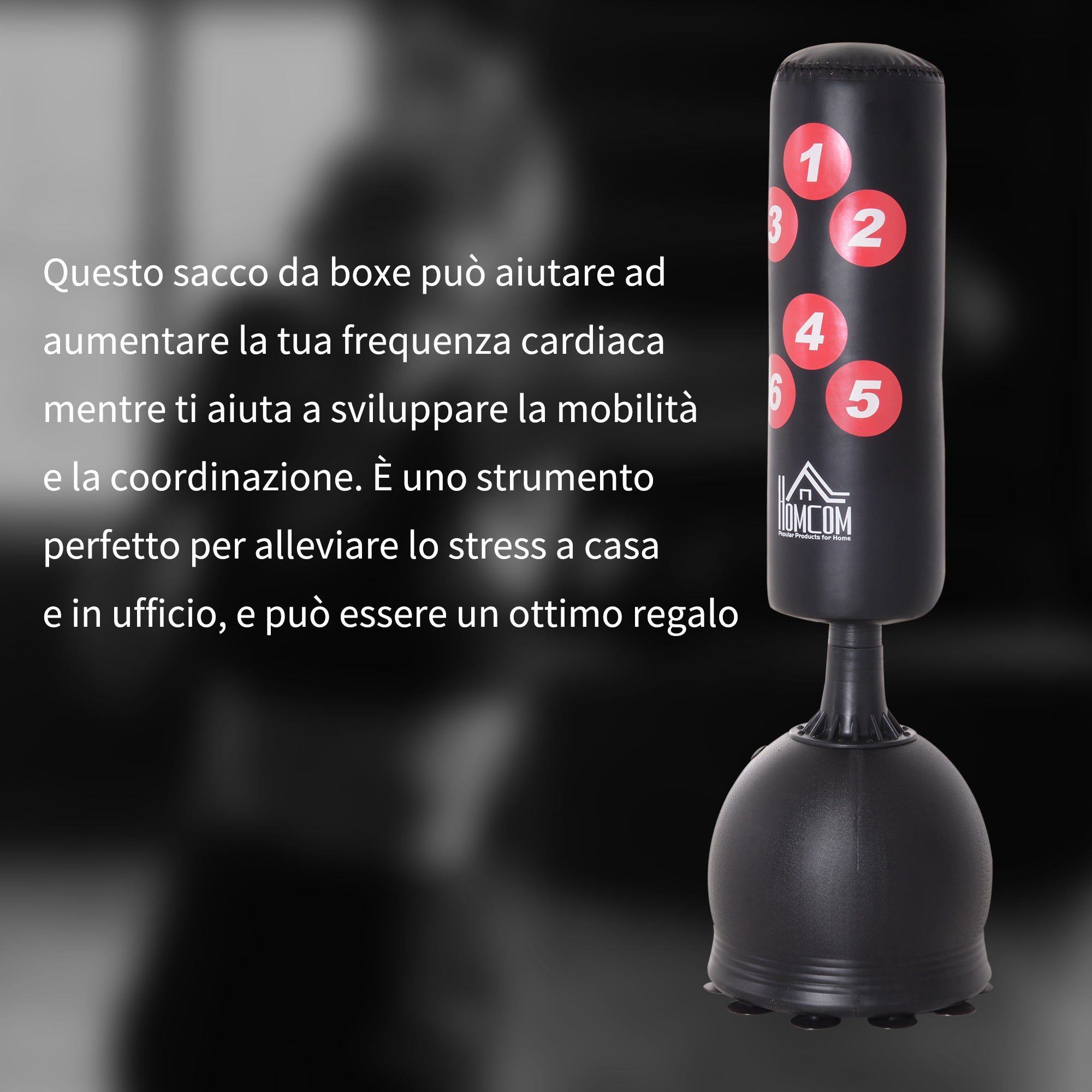 Easycomfort Sacco da Boxe da Terra, Sacco da Pugile per Adulti e Bambini, Fit Boxe Arti Marziali (50x50x165cm)