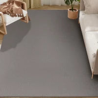 Tappeto da soggiorno, lavabile in lavatrice e antiscivolo, 200 x 140 cm, Grigio chiaro