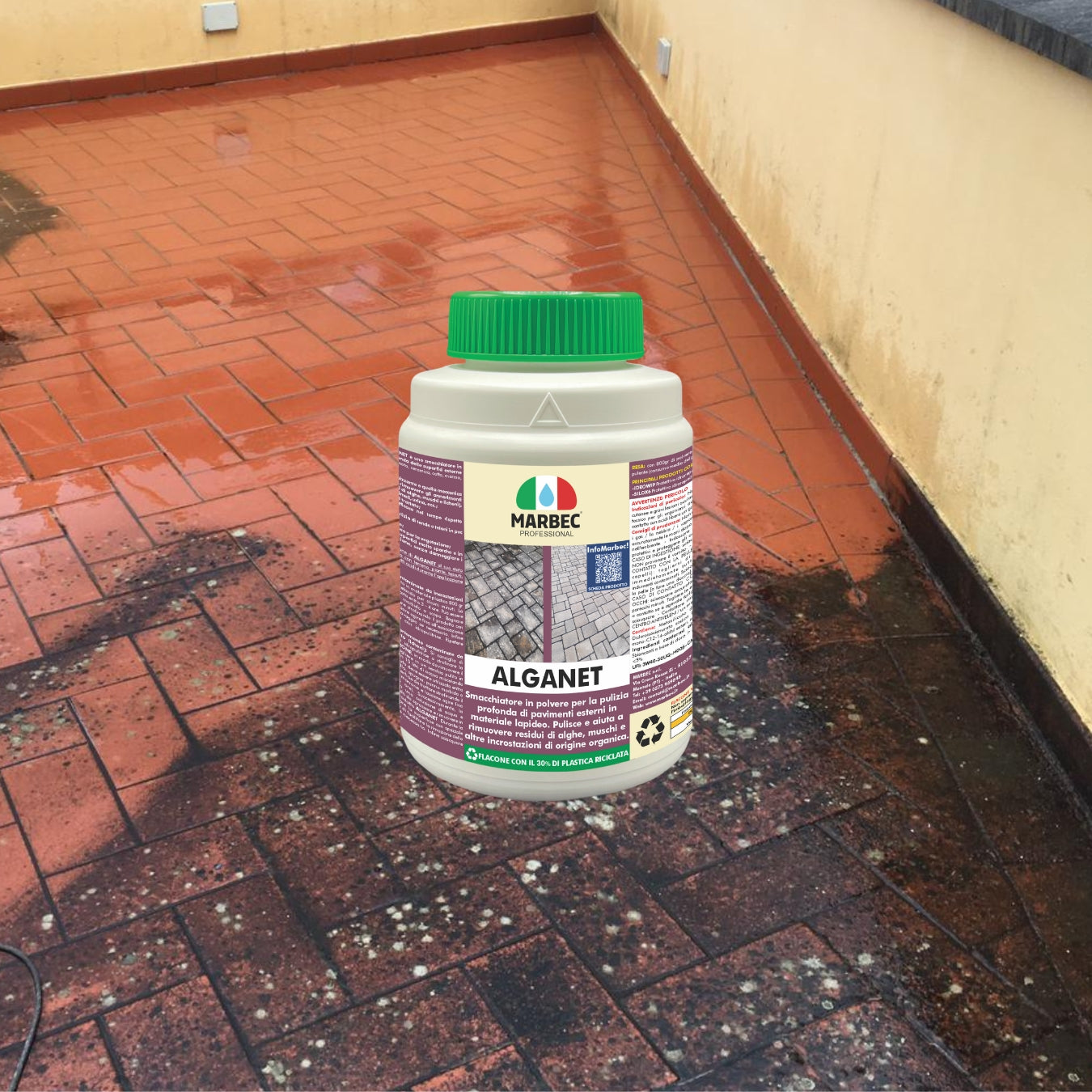 Pulizia pavimenti esterni ALGANET   800GR
