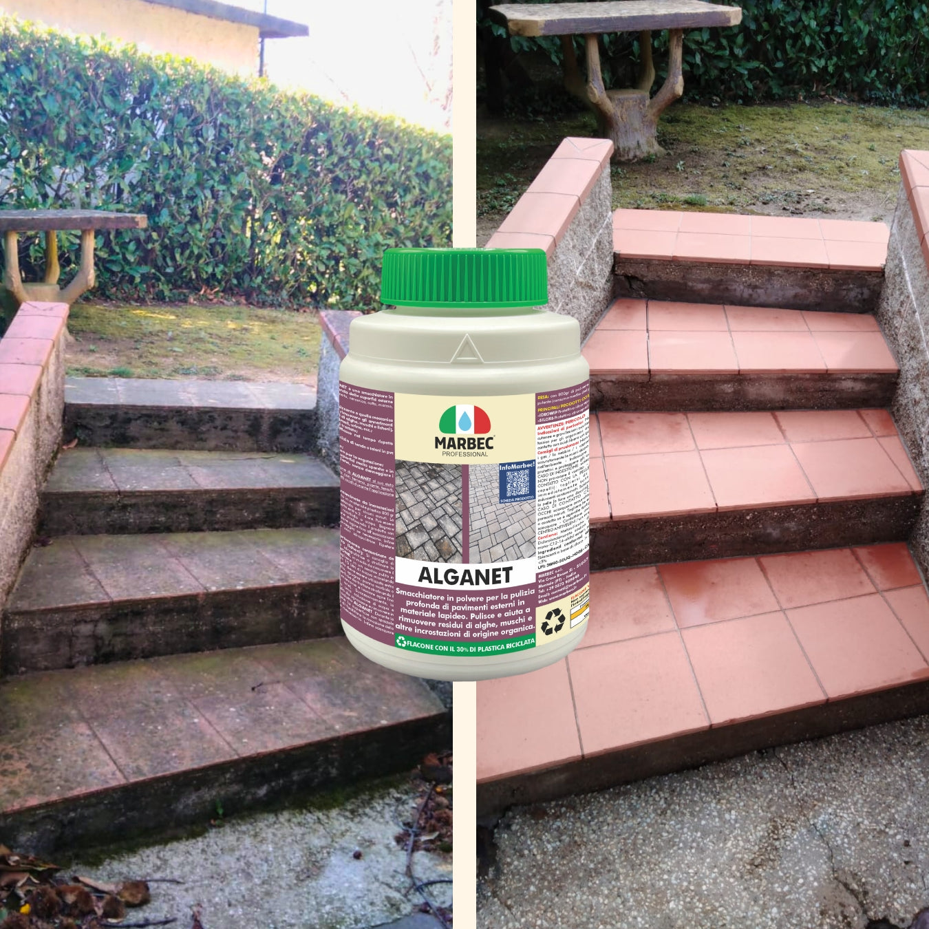 Pulizia pavimenti esterni ALGANET   800GR + Tampone Marrone