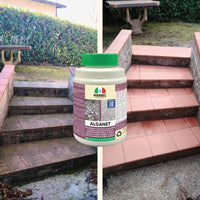 Pulizia pavimenti esterni ALGANET   800GR + Tampone Marrone