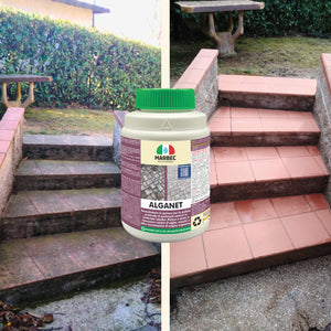 Pulizia pavimenti esterni ALGANET   800GR + Tampone Marrone