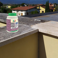Pulizia pavimenti esterni ALGANET   4KGx4Pz