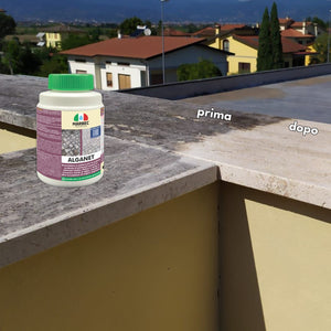 Pulizia pavimenti esterni ALGANET   800GR