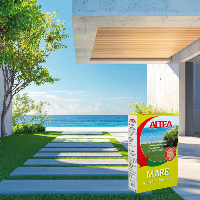 Altea semi per prato località di mare kg 1