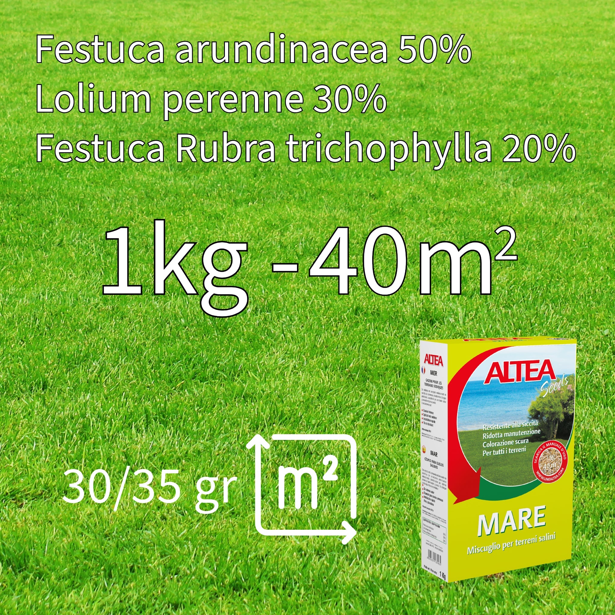 Altea semi per prato località di mare kg 1