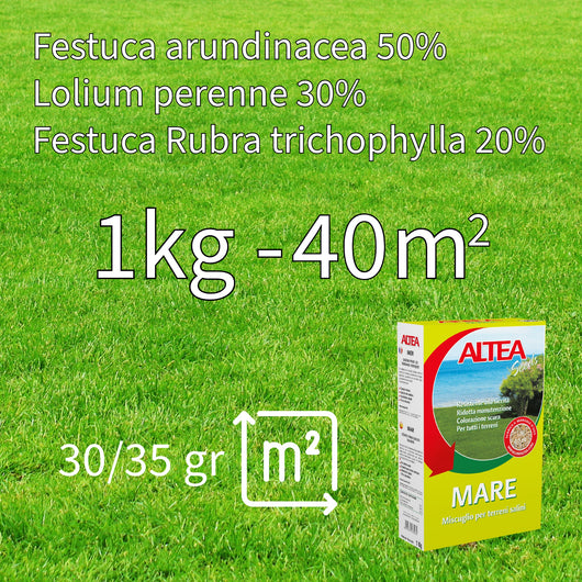 Altea semi per prato località di mare kg 1